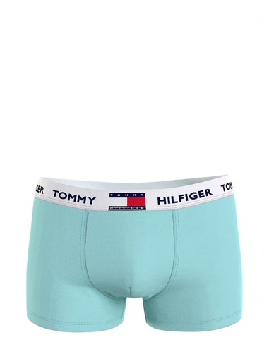 Caleçon Tommy Hilfiger Ref 56271 C94...